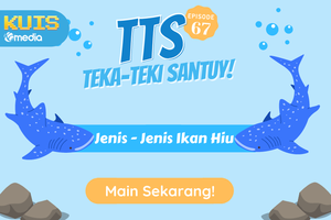 Teka - teki Santuy Seputar Jenis - Jenis Ikan HIu