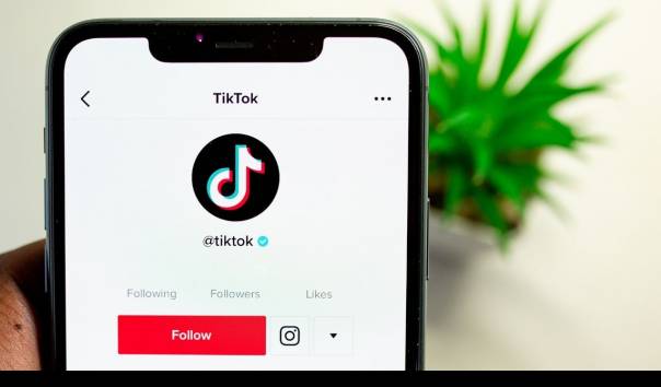 Ini 4 Cara Download Lagu Dan Video Tiktok Tanpa Watermark Lewat Snaptik