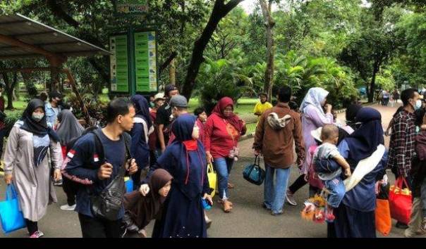 Rahasia di Balik Keberhasilan Adsense Raffi Ahmad: Lebih dari Sekadar Selebriti