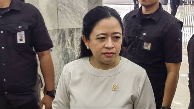 Puan soal Perangkat Desa Dukung Prabowo-Gibran: Saya Harap Semua Elemen Menjaga Pemilu Berjalan Baik