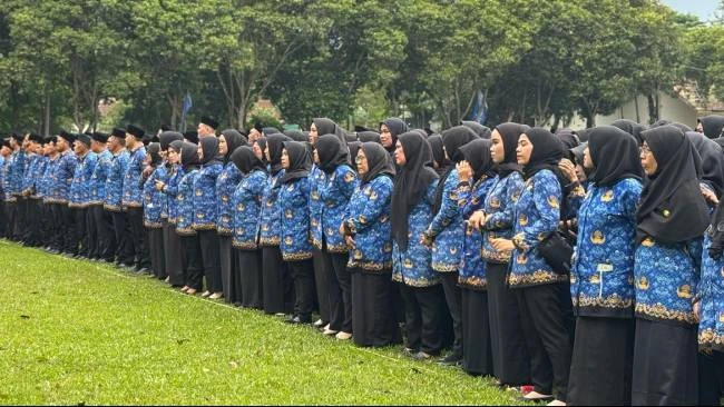 Honorer sedang mengecek daftar PPPK Paruh Waktu 2025