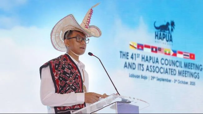 PLN Dorong Interkoneksi ASEAN Power Grid untuk Akselerasi Transisi Energi Bersih