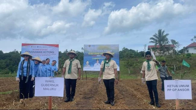 Tanam Hotong di Maluku, Ketum PP GP Ansor Serukan Ketahanan Pangan Nasional Berbasis Potensi Lokal