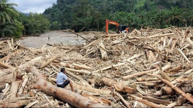 Greenpeace Soroti DAS Batang Toru Sumut dan Potensi Bencana Banjir karena Deforestasi