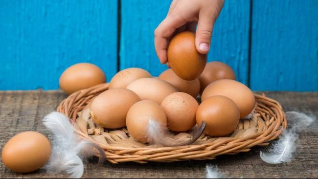 Pemerintah Siapkan Bantuan Pangan Telur dan Daging Ayam Kembali Digulirkan pada 2027
