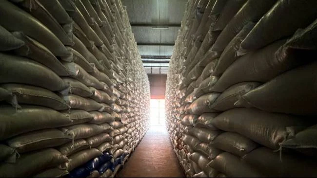 stok-cadangan-beras-tembus-47-juta-ton-tertinggi-sejak-indonesia-merdeka