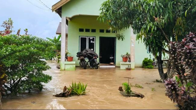 Puluhan Rumah dan Sawah Siap Panen di Luwu Sulsel Terendam Banjir