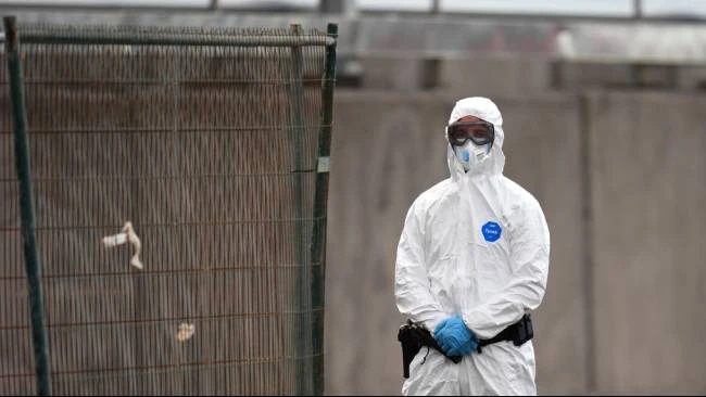 Gejala dan Cara Mencegah Penyakit Hantavirus, Ini Imbauan Kemenkes
