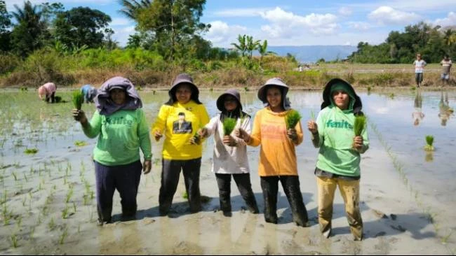 Pompa Air Tenaga Surya di Samosir Bebaskan 749 Petani dari Biaya Irigasi