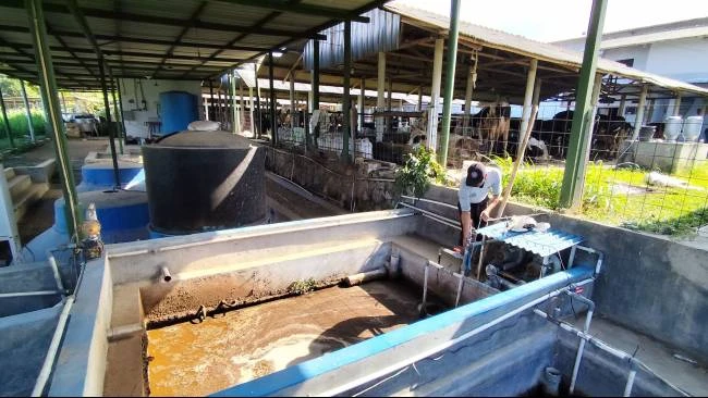Tiga Dekade Perjuangan Koperasi Produsen Susu di Kuningan, Ekonomi Berdaya dan Inovasi Energi Surya