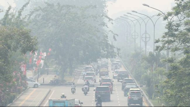 BNPB Sebut Kualitas Udara di Kalbar Berbahaya, Visibilitas di Bawah 1 Kilometer