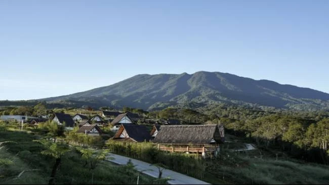 Puncak Bogor Ditata, Pemulihan Lahan Jadi Fokus Pengembangan Ekowisata
