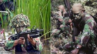 tni-ad-kirim-pasukan-setan-tim-elite-untuk-buru-kkb-di-papua