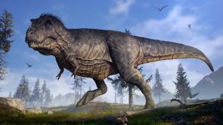 5-peristiwa-penting-pada-12-agustus-salah-satunya-fosil-tyrannosaurus-rex-ditemukan