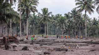 sepekan-bencana-semeru-korban-jiwa-mencapai-45-orang