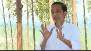 pembangunan-ikn-diharapkan-jadi-magnet-selain-pulau-jawa-perkiraan-anggaran-rp466-triliun