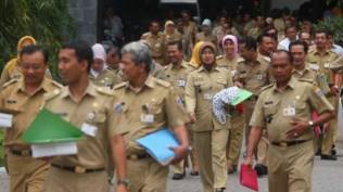 70-link-cek-pengumuman-hasil-seleksi-cpns-2024-berikut-kode-penanda-kelulusannya