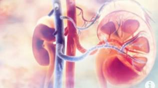 enam-anak-meninggal-di-medan-karena-penyakit-gagal-ginjal-misterius