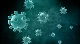 epidemiolog-sebut-varian-baru-covid-19-eris-sudah-muncul-di-indonesia-apa-saja-gejalanya