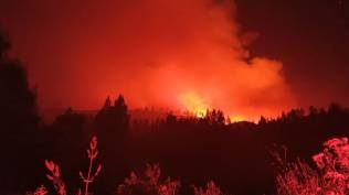 memasuki-musim-kemarau-bmkg-peringatkan-ancaman-kebakaran-hutan-dan-lahan-di-ntt