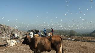 pemda-di-yogyakarta-siapkan-anggaran-rp100-miliar-untuk-teknologi-pengelolaan-sampah