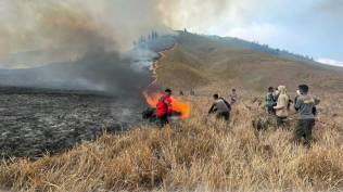 respons-karhutla-akibat-flare-bromo-tingkatkan-pengawasan-terhadap-wisatawan