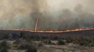 bmkg-sebut-tornado-api-di-gunung-bromo-jawa-timur-mirip-fenomena-dust-devil
