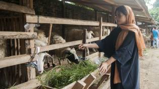 persiapan-iduladha-2024-begini-cara-mengolah-daging-kurban-agar-rendah-kolestrol