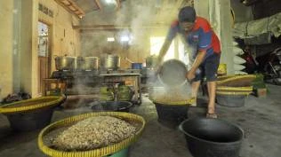 stabilitas-kedelai-dijaga-bapanas-siapkan-sanksi-untuk-pelanggar-harga