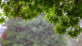 bmkg-prakirakan-potensi-cuaca-ekstrem-29-juli-angin-kencang-dan-hujan-lebat-di-21-provinsi