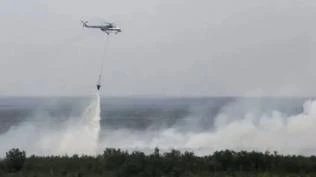 bmkg-deteksi-titik-panas-di-kalimantan-dan-sulawesi-waspadai-potensi-karhutla