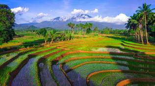 publik-apresiasi-kinerja-kementan-dan-perum-bulog-tantangan-pupuk-murah-sembako-berkualitas