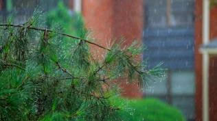 peringatan-dini-bmkg-19-20-oktober-2025-cek-potensi-hujan-lebat-sampai-angin-kencang-berikut