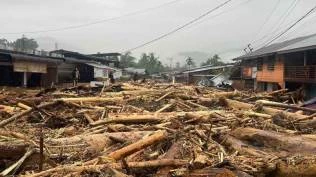 klh-temukan-indikasi-penyerobotan-kawasan-hutan-untuk-sawit-dan-tambang-ilegal-di-aceh