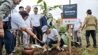 pakar-ipb-dan-ahli-ekologi-hutan-tropis-tekankan-penanaman-tepat-jenis-saat-restorasi-hulu-puncak