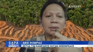 greenpeace-minta-pemerintah-umumkan-nama-22-perusahaan-yang-dicabut-izinnya-usai-banjir-sumatera