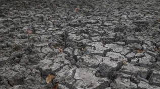 bmkg-prediksi-el-nino-muncul-juli-2026-kemarau-berpotensi-lebih-panas-dan-kering