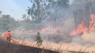 karhutla-riau-sudah-2-713-hektare-alarm-dini-ancaman-el-nino-2026-mulai-terlihat