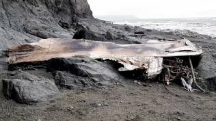 pesawat-militer-rusia-jatuh-di-krimea-dan-tewaskan-29-orang