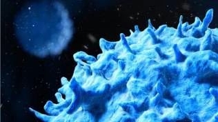 brin-kembangkan-formula-kunyit-daun-sirsak-dan-bekatul-hitam-berpotensi-jadi-kandidat-antikanker