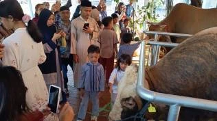 indef-perkirakan-perputaran-uang-kurban-iduladha-2026-tembus-rp26-triliun