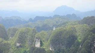 nggak-main-main-sangkulirang-mangkalihat-simpan-cadangan-karbon-275-57-gigaton