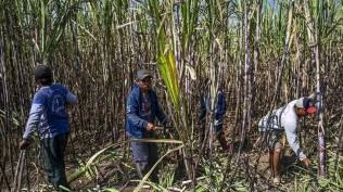 kejar-target-e20-kementerian-esdm-persilakan-perusahaan-swasta-bangun-pabrik-etanol