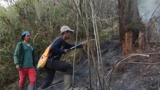 karhutla-semeru-170-pendaki-sudah-berhasil-dievakuasi