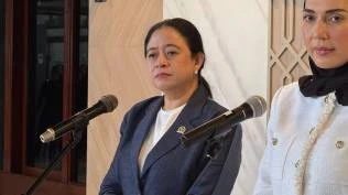 ketua-dpr-puan-maharani-respons-prabowo-minta-anggaran-mitigasi-bencana-ditambah-signifikan