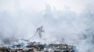 kasus-karhutla-kapolri-sebut-8-perusahaan-sedang-diusut