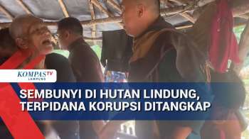Sembunyi Di Hutan Lindung, Terpidana Korupsi Ditangkap