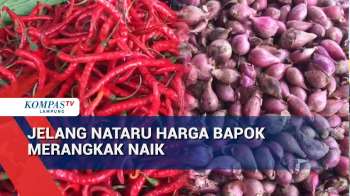 Jelang Nataru Harga Bapok Merangkak Naik