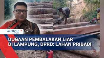 Dugaan Pembalakan Liar Di Lampung, DPRD: Lahan Pribadi