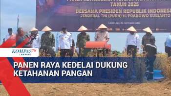 Panen Raya Kedelai Dukung Ketahanan Pangan